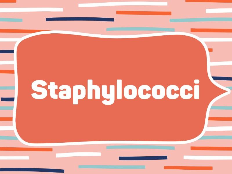 1987: Staphylococci
