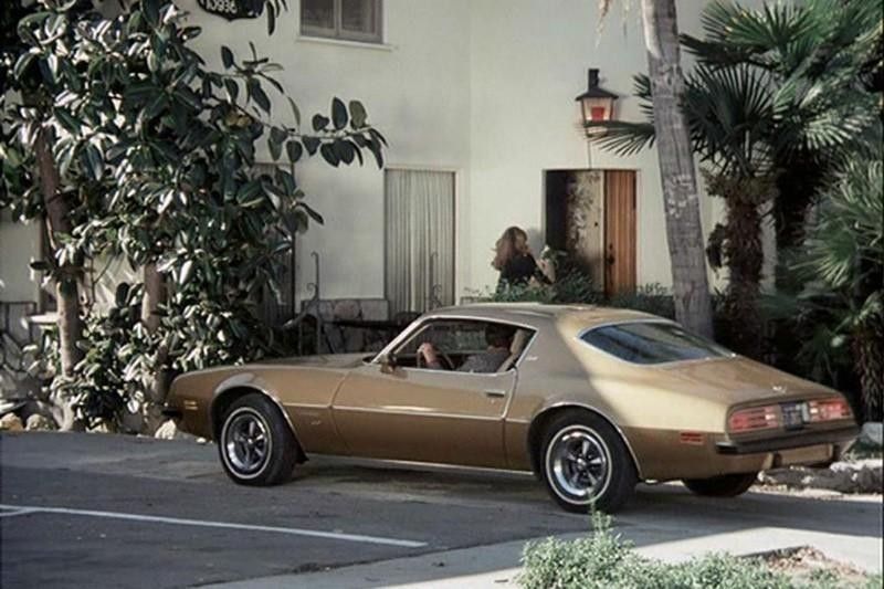 36. 1974 Pontiac Firebird Esprit