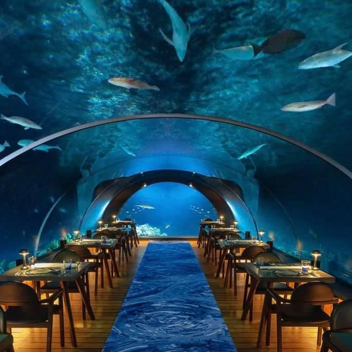 5.8 Undersea Restaurant