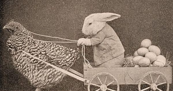 A bunny and chicken delivering eggs