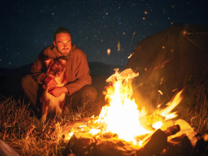 A man and his dog next to a campfire at night