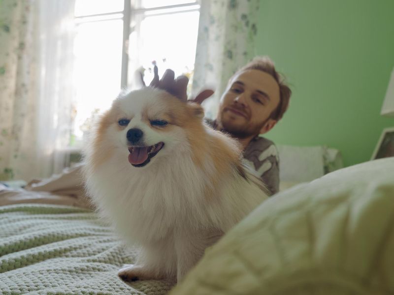 A man pets his dog at home
