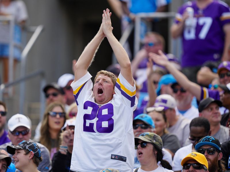 A Minnesota Vikings fan celebrates