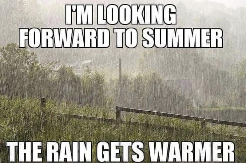 A summer rainstorm meme