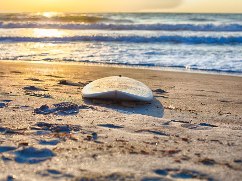 A surf board rests in the sand on Wrightsville Beach, NC at sunrise.