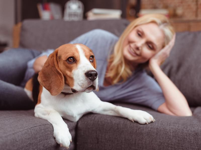 A woman cuddling a beagle