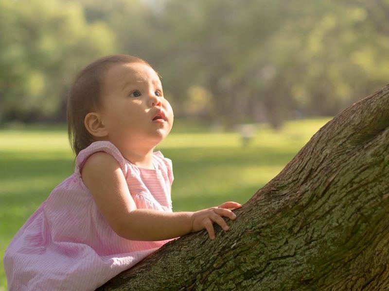 A young girl climbing a tree