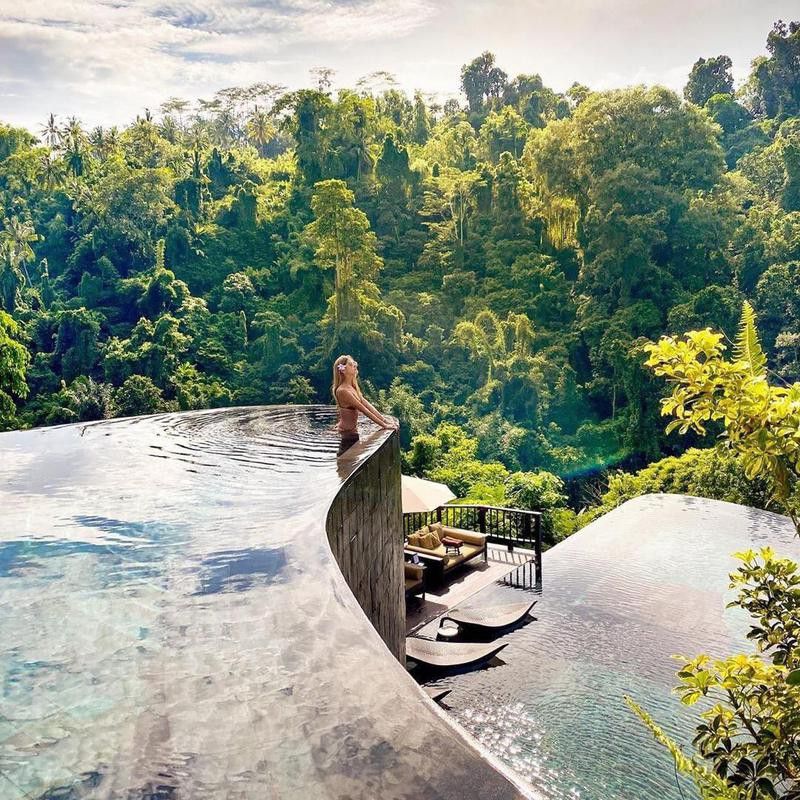 Above the Trees in Bali