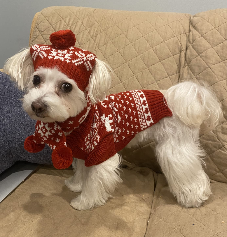 ABRRLO Christmas Dog Costume