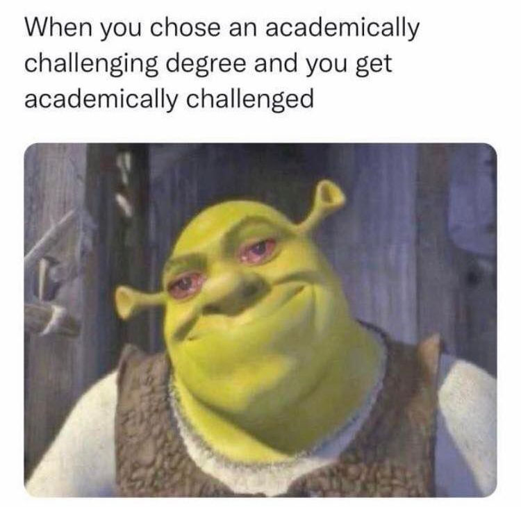 Academically challenging Shrek meme