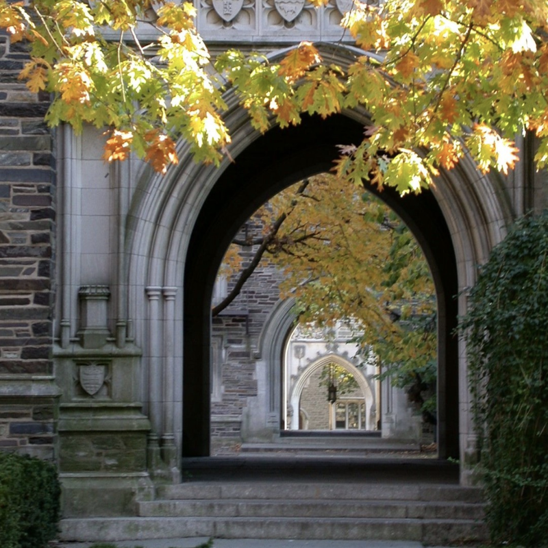 Acceptance rates at Princeton