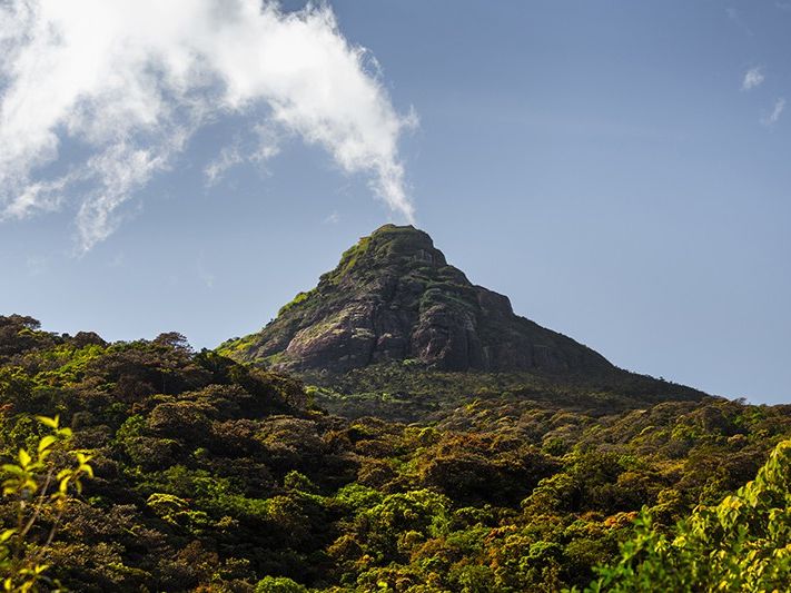 Adam’s Peak (Sri Prada), Sri Lanka