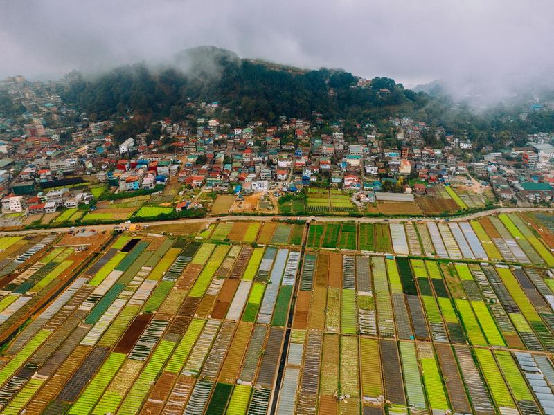 Aerial view of vegetable farms in Baguio City Philippines