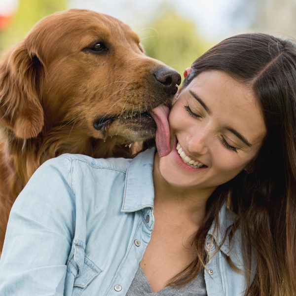 Portrait of an affectionate dog kissing a woman at the park and looking very happy