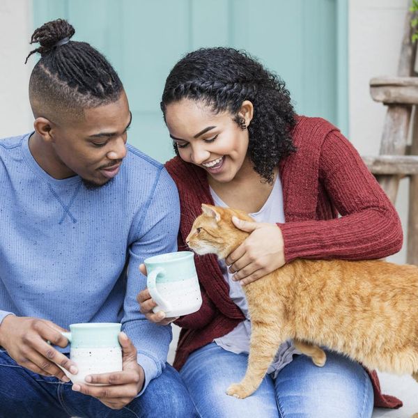 Gifts for Cat Lovers That Are Actually Useful