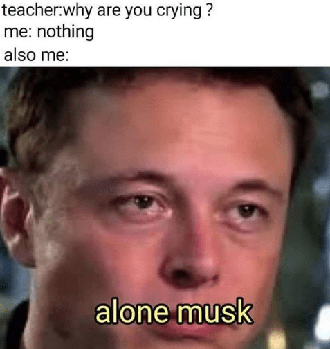 alone musk