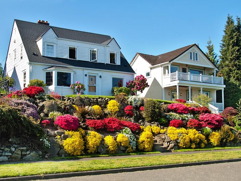 American Dream Home with Flower Garden