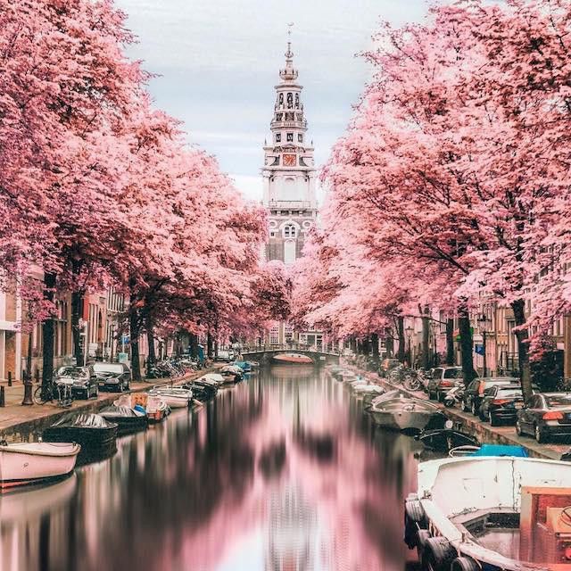 Amsterdam in the spring