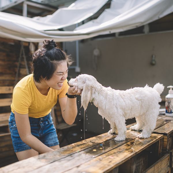 an asian chinese teenager bonding time with her pet dog toy poodle at front or back yard of her house taking bath for her dog and holding pet dog head and smiling