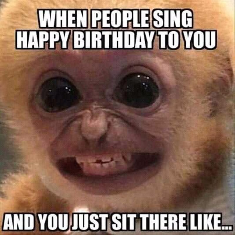 hilarious happy birthday memes
