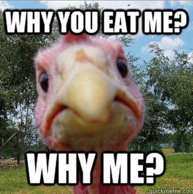 Angry turkey meme