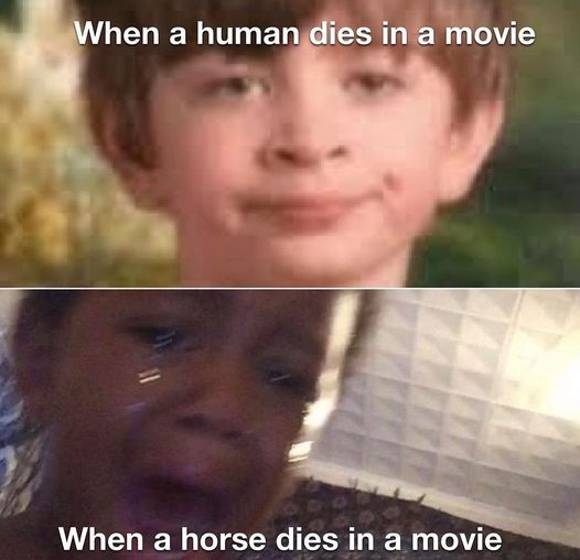 Animal movies meme
