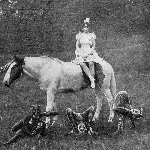These Crazy Animal Attractions from the Past Would Never Fly Today