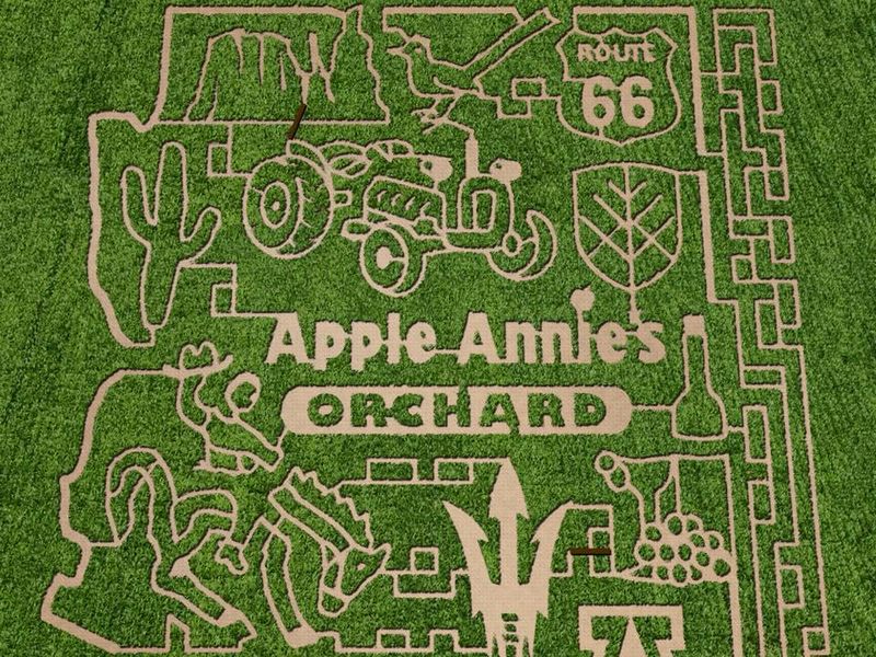 Apple orchard maze in Arizona