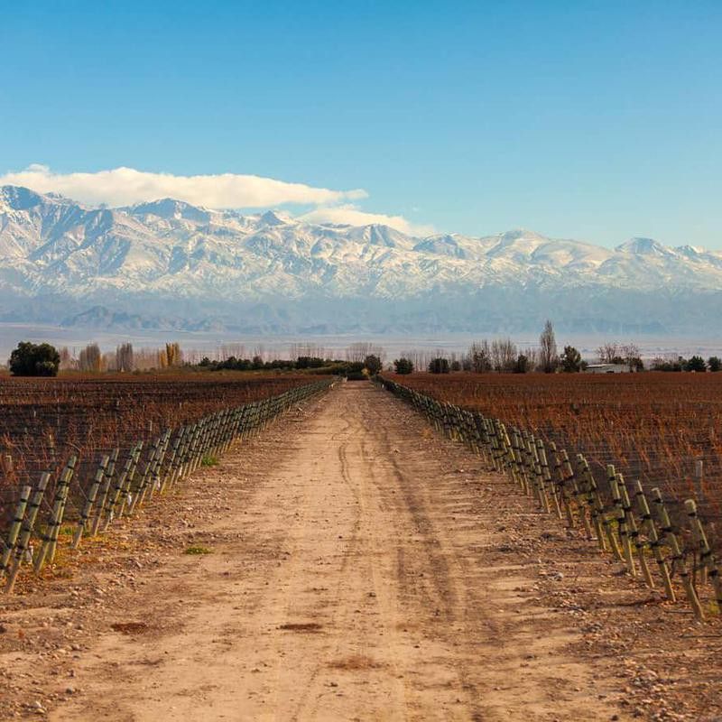 Argentinian Wine Route