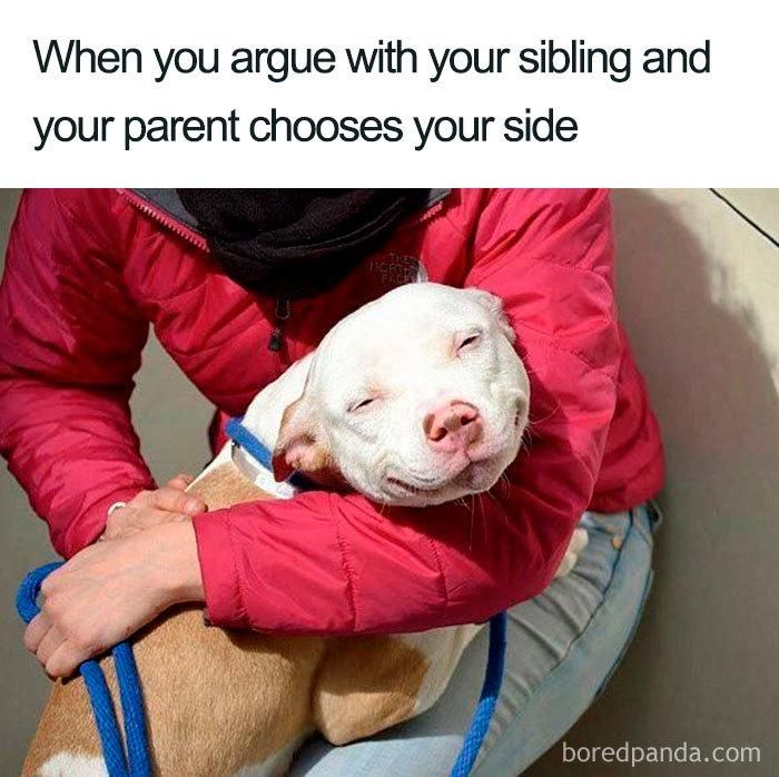 Arguing with siblings meme
