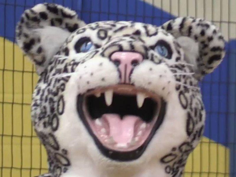 Arkansas School for the Deaf Leopards