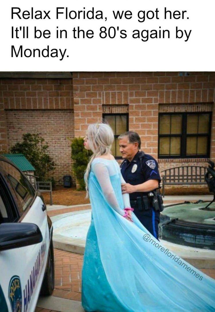 Arresting Elsa