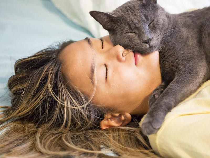 Asian teenager snuggles with her gray cat