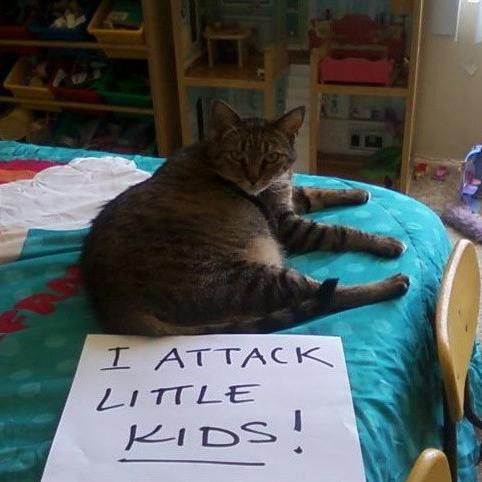 attacking kids