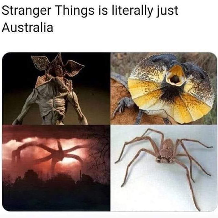 Australia stranger things meme