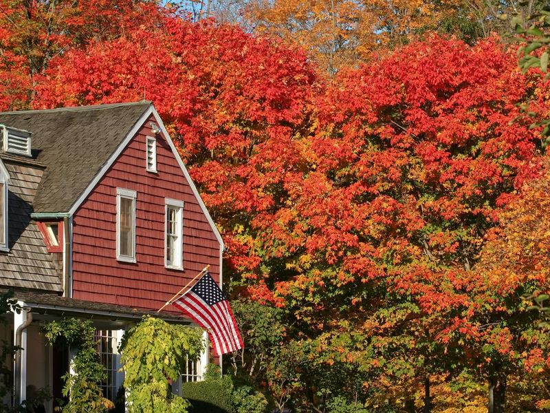 Autumn at Weir Farm, Connecticut
