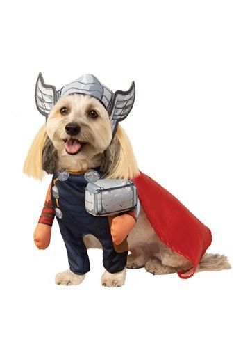 Avengers Thor dog costume