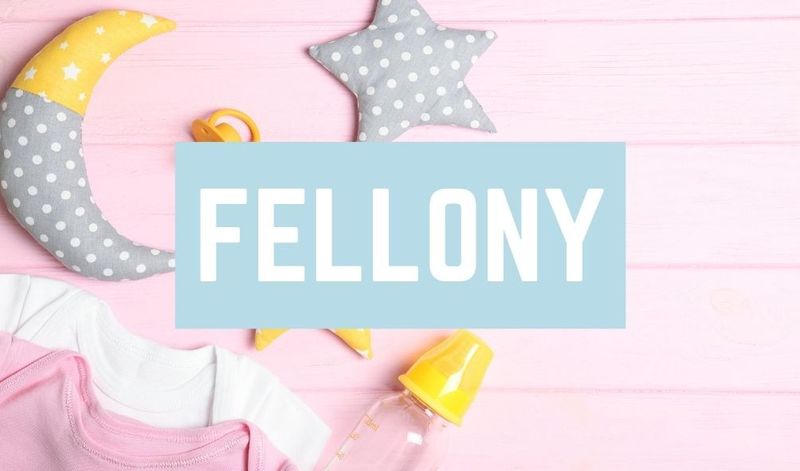 Awful Baby Names: Fellony