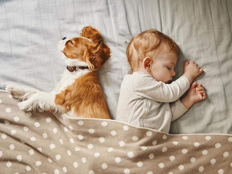 baby and his puppy sleeping peacefully