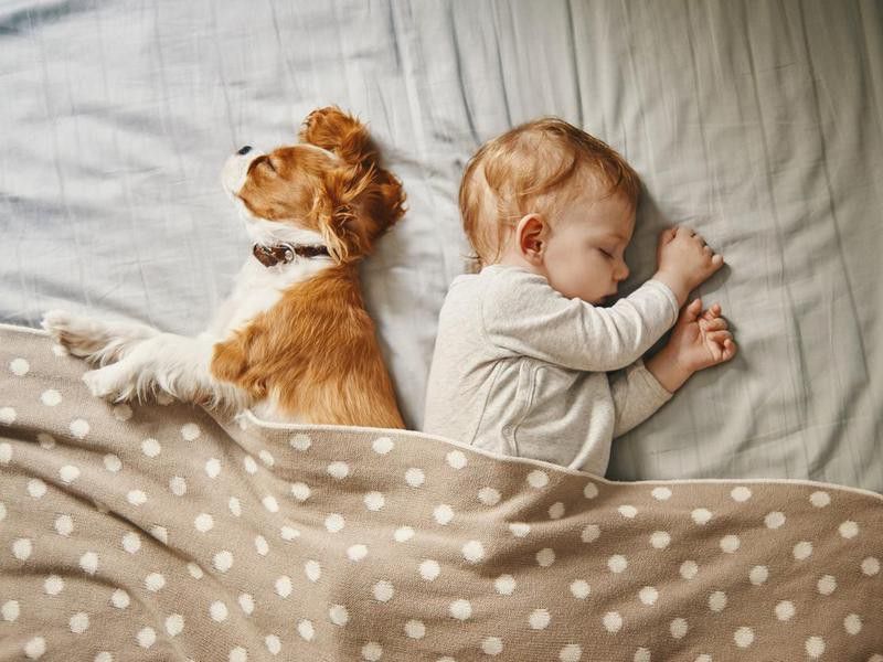 baby and his puppy sleeping peacefully