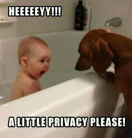 Baby asking for privacy