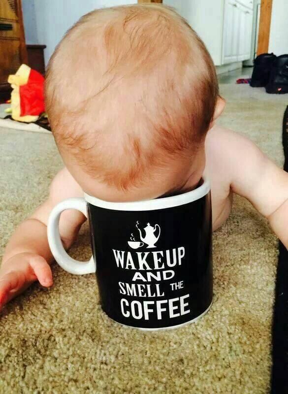 Baby smelling coffee