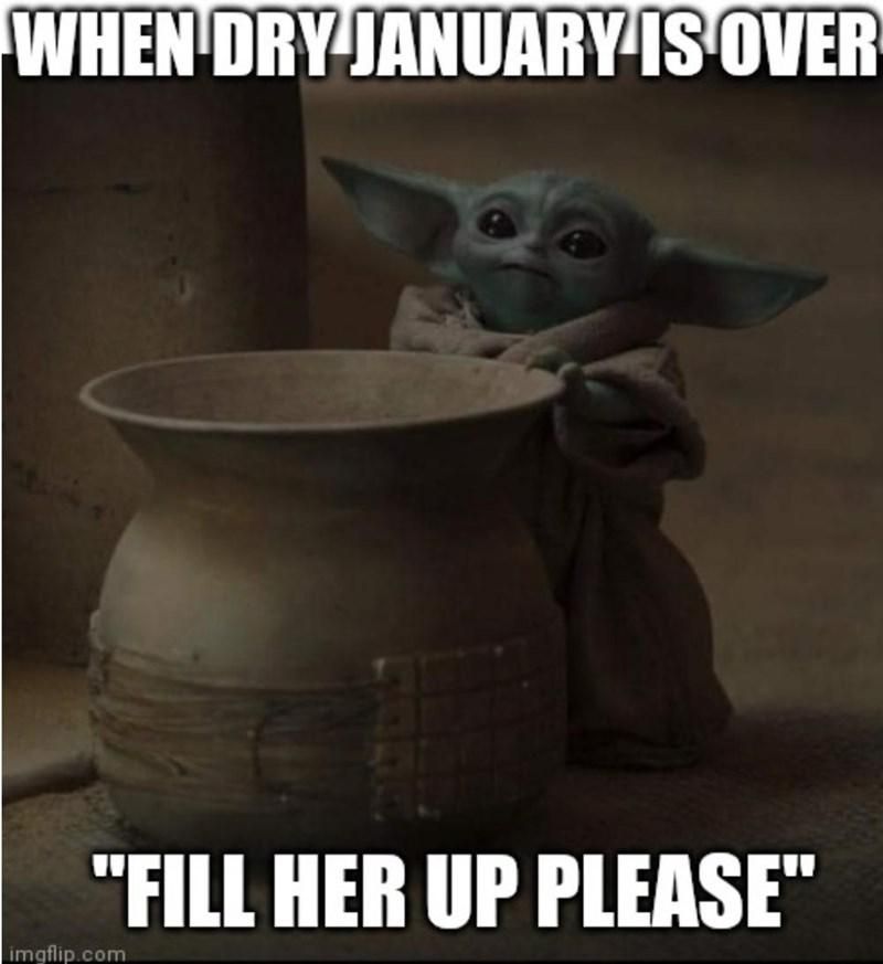 Baby Yoda at the end of dry January