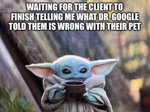 Baby Yoda vet tech meme