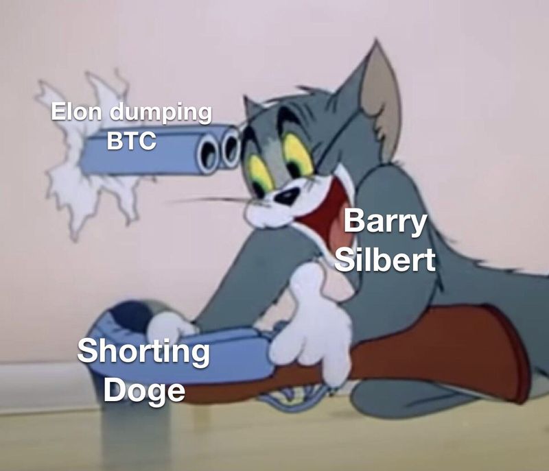 Barry Silbert dogecoin meme