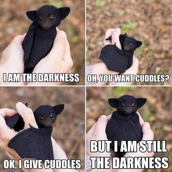 Bat darkness meme