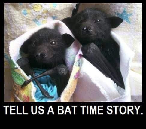 Bat stories