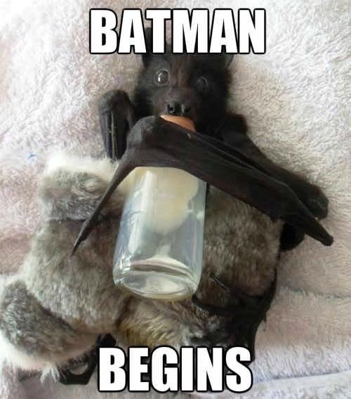 Batman begins
