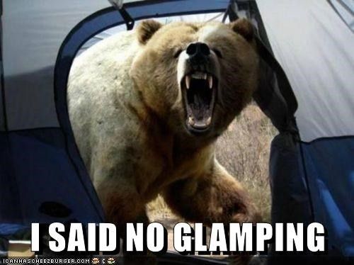 Bear camping meme