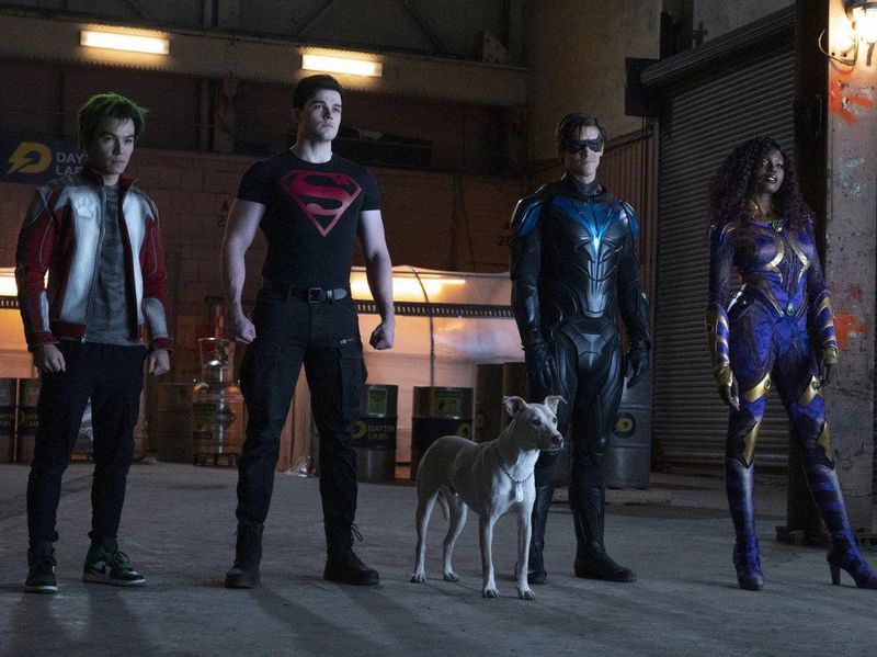 Beast Boy, Superboy, Krypto, Nightwing, Starfire